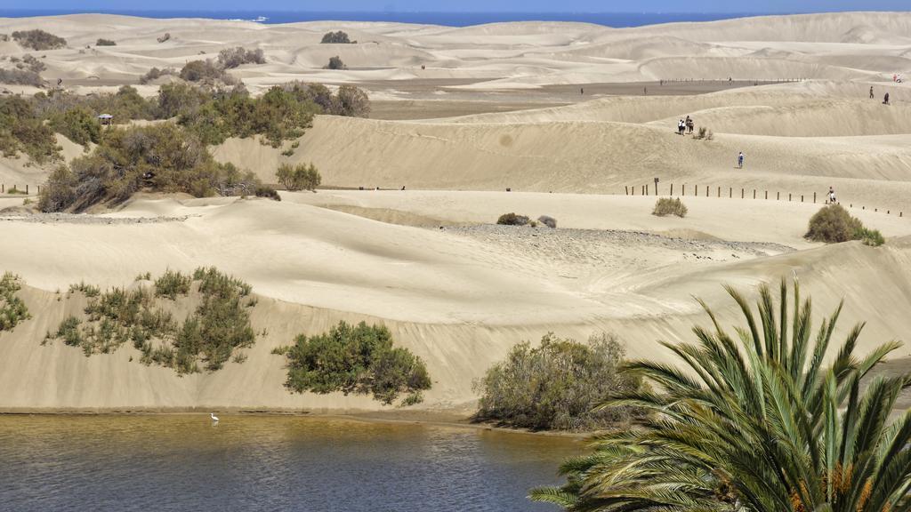 Apartamentos Tamara Maspalomas  Eksteriør bilde